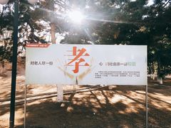 孝-沈阳中山公园