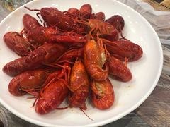 -古田会·肥肠鸡(古田店)