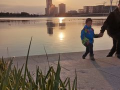 -映月湖中央公园