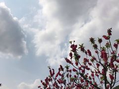 -南国桃园旅游度假区