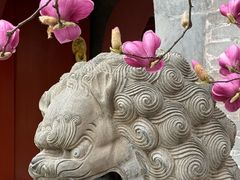 -红螺寺