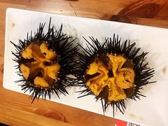 -海胆小馆(东北水饺·春柳店)