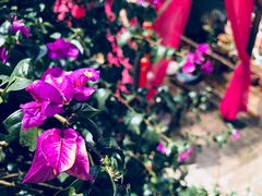 -浔岚云舍mist静谧观景美宿(丽江古城店)