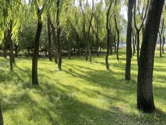 -森林公园(尖草坪区)