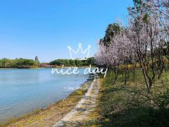 -美兰湖景区