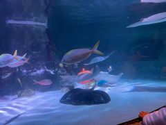 -沈阳海洋探索中心