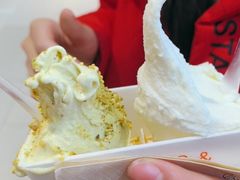 -野人先生现做冰淇淋(北京环宇荟店)