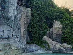 -汤山一号温泉度假区