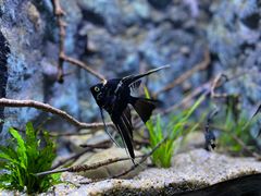 -上海海洋水族馆