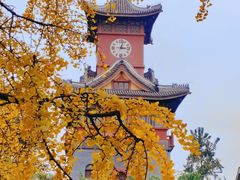 -四川大学(华西校区)