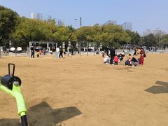 -天鹅湖体育公园