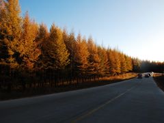 -塞罕坝国家级自然保护区