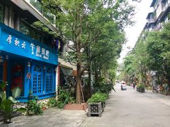 -泡桐树街