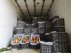 -大连果菜批发市场