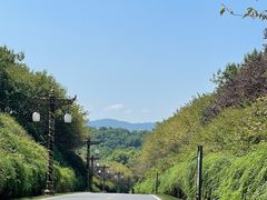 -宜兴龙背山森林公园