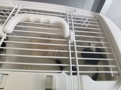 -北京恒爱动物医院(清景园分院)