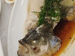-金华安大酒楼·老牌潮菜·粤式茶点(东方国际店)