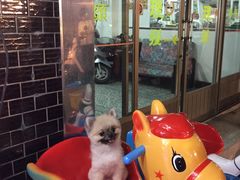 -罗东夜市