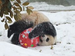 -西安秦岭野生动物园