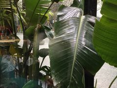 -Soloist 独奏公司(798店)
