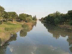 -上海滨江森林公园