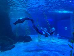 -常州海昌海洋探索馆