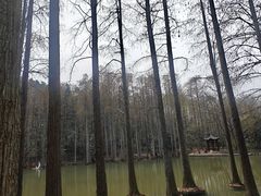 -波尔登森林公园