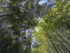 -敬亭山风景名胜区