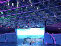 -海合安青岛极地海洋公园