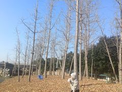 -嬉乐湾休闲旅游区