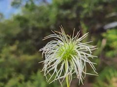 -白草畔自然风景区