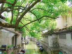 -绍兴鲁迅故里·沈园景区