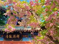 -隋唐洛阳城明堂天堂景区