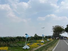 -空港花田景区