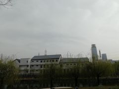 -雁滩公园