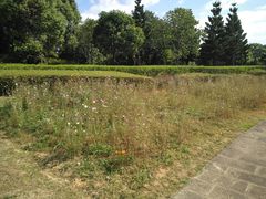 -福建鲤鱼洲酒店