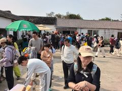 -苏州市吴中区光福窑上花果蜜饯厂