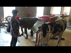 -横沥牛庄(总店)