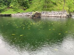 -凤凰山国家森林公园