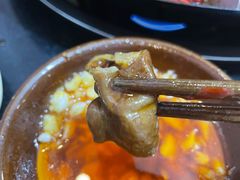 -肥龙火锅(南坪店)