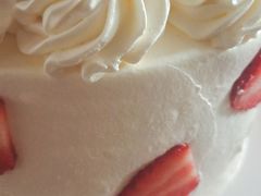 -维尔纳斯·生日蛋糕动物奶油冰淇淋蛋糕(人大店)