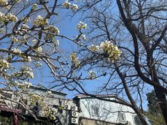 -元大都城垣遗址公园