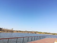 -东郊湿地公园