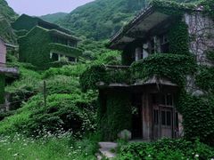 -枸杞岛