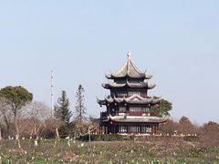 -上海海湾国家森林公园