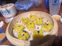-点都德·毕德寮
