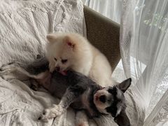 -零几体验diy皮具工作室(振业城店)