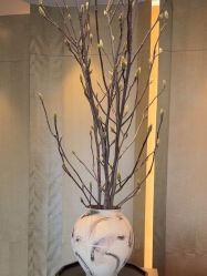 -VELEE·SPA高定疗愈会所