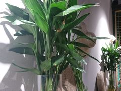 -八月美食小馆(银泰城总店)