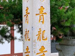 -西安青龙寺遗址景区